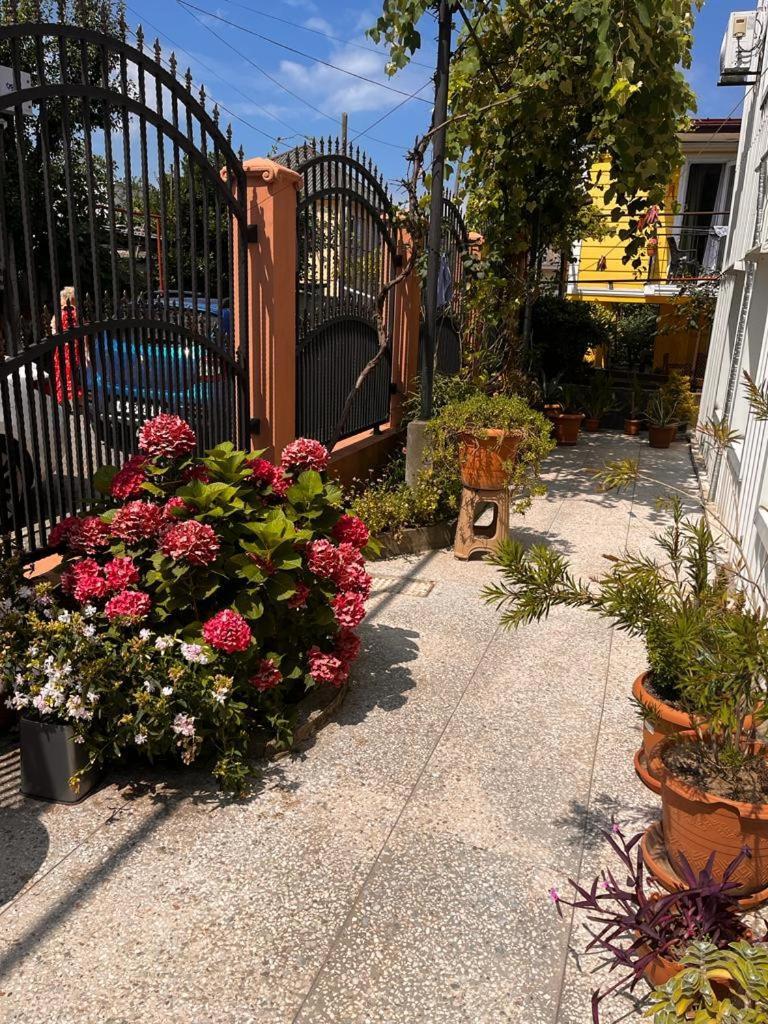 Guest House Chexovi 24 Кобулети Экстерьер фото